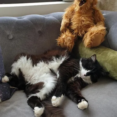 Le Centre Hotel Gramat