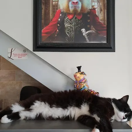 Hotel Le Centre Gramat