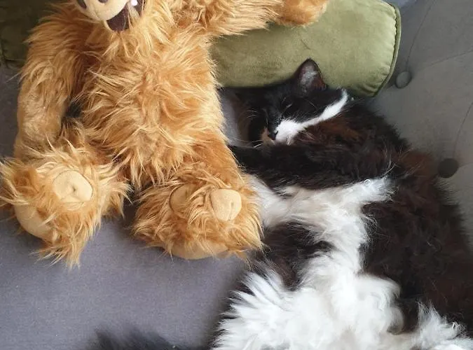 中央酒店 格拉马