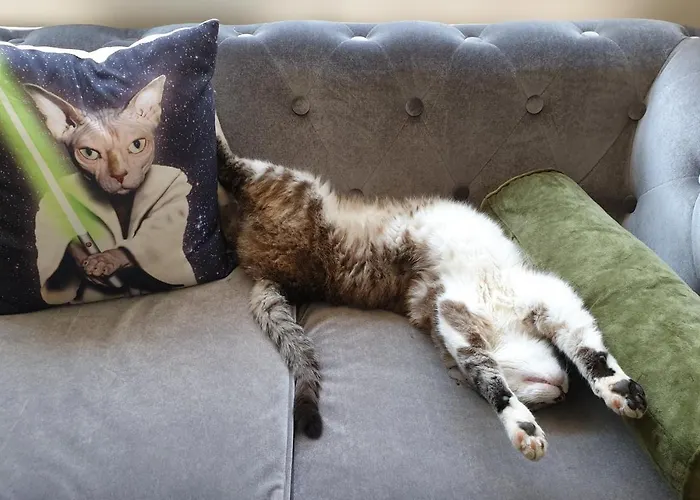 中央酒店 3* 格拉马