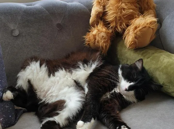 中央酒店 酒店 格拉马