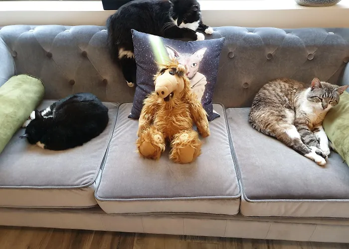 中央酒店 酒店 3*